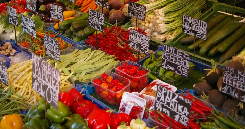 The Ultimate First-Time Visitor’s Guide to Vienna
