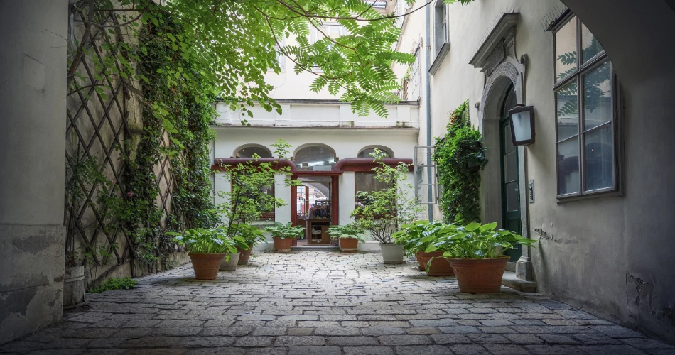 Hidden Courtyards of Vienna: Where History Meets Quiet Charm