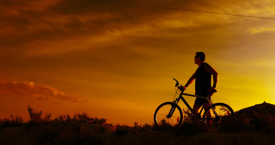 Mountain Biking Trails Around Vienna Woods