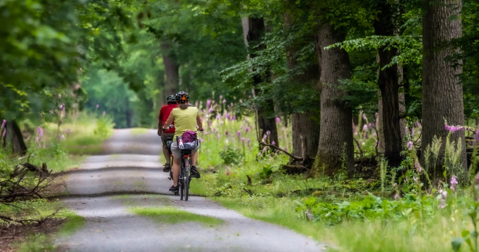 Mountain Biking Trails Around Vienna Woods