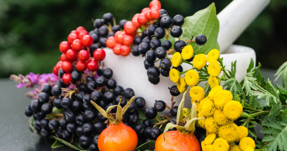 Seasonal Festivals in Vienna You Can’t Miss